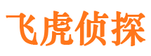 解放市侦探公司